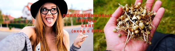 гидропоника Касимов