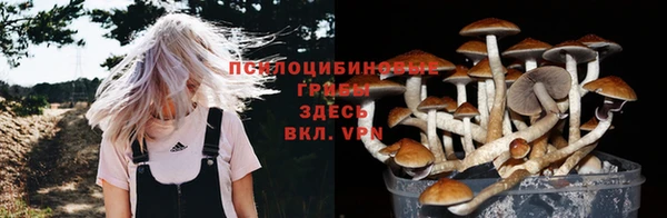 COCAINE Карпинск