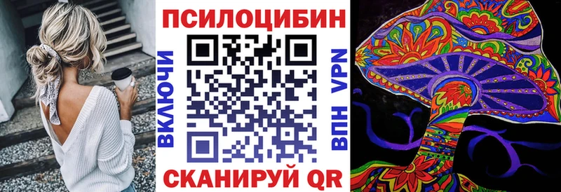 площадка как зайти  купить наркотик  Кизляр  Псилоцибиновые грибы Psilocybe 