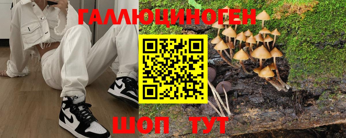 Галлюциногенные грибы прущие грибы  Псилоцибиновые грибы Psilocybe  Вход с VPN  Кизляр 