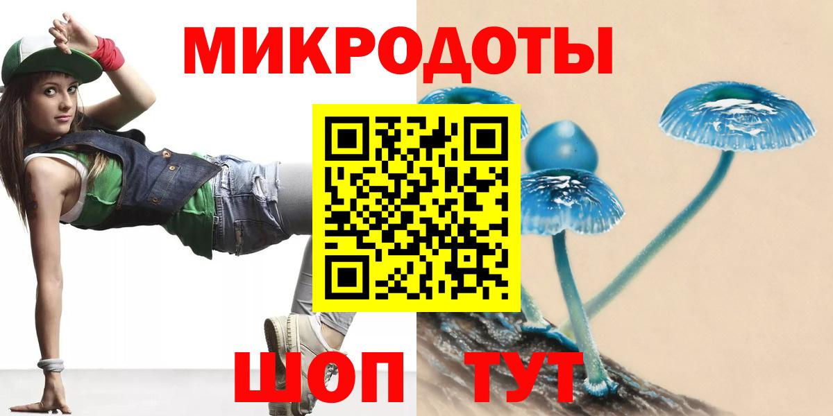 Псилоцибиновые грибы Psilocybine cubensis Кизляр