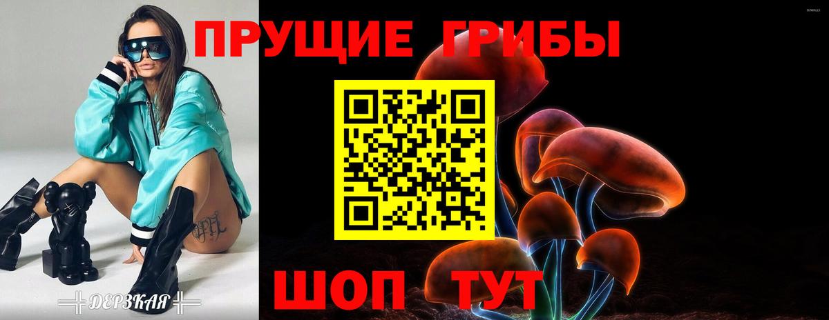 Псилоцибиновые грибы Magic Shrooms  Кизляр  закладки  Галлюциногенные грибы ЛСД 