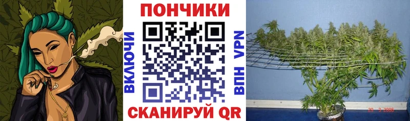 хочу   Кизляр  МЕГА зеркало  Бошки марихуана тримм 